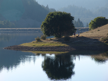 Bon Tempe Lake pic near dam