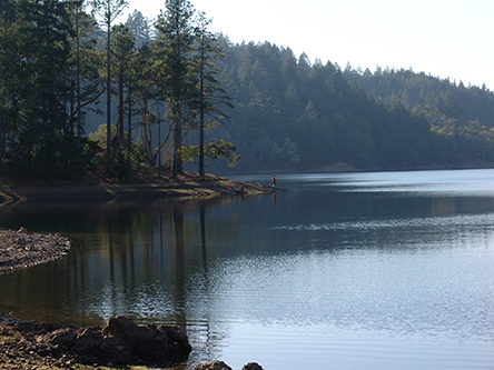 pic of Bon Tempe lake, man on point