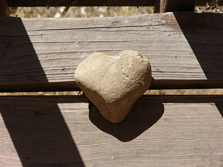 A Heart Shaped Rock