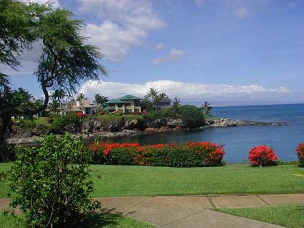 Picture of Napili Cove