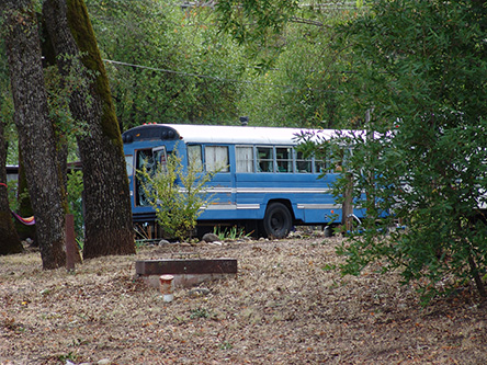 Amy's Blue Bus