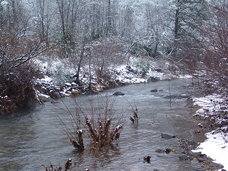 Snowy creek picture