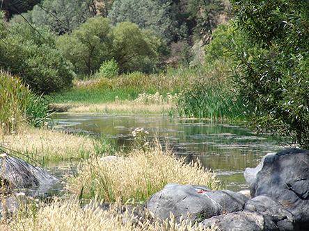 North Cache Creek in summer